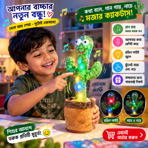 Dancing Cactus Toy